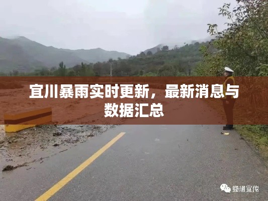 宜川暴雨实时更新，最新消息与数据汇总