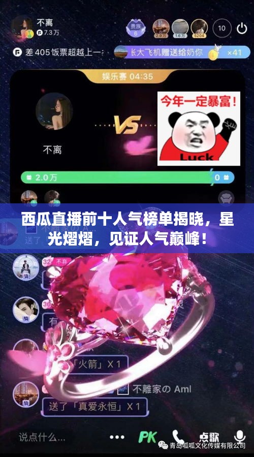西瓜直播前十人气榜单揭晓，星光熠熠，见证人气巅峰！
