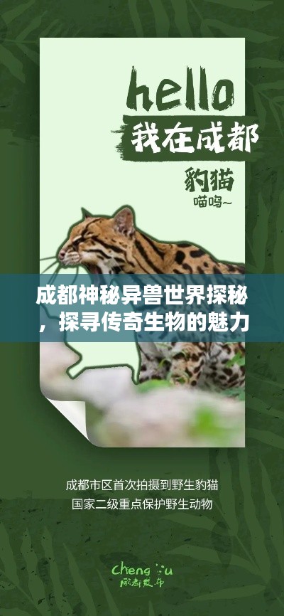 成都神秘异兽世界探秘，探寻传奇生物的魅力排名！