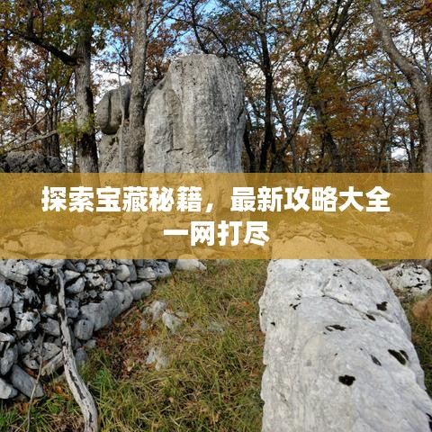 探索宝藏秘籍，最新攻略大全一网打尽