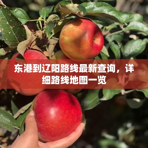 东港到辽阳路线最新查询，详细路线地图一览