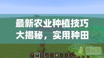 最新农业种植技巧大揭秘，实用种田攻略视频分享