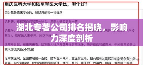 湖北专著公司排名揭晓，影响力深度剖析