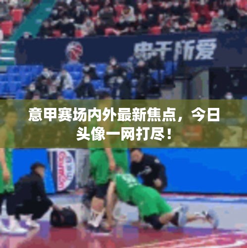 意甲赛场内外最新焦点，今日头像一网打尽！