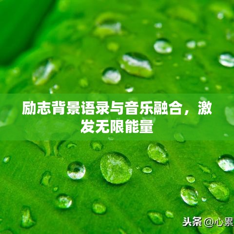励志背景语录与音乐融合，激发无限能量