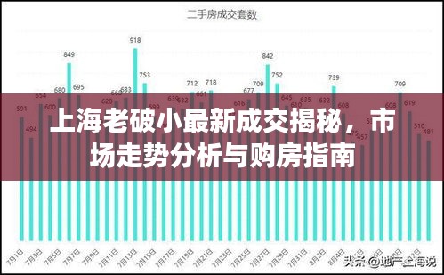 上海老破小最新成交揭秘，市场走势分析与购房指南