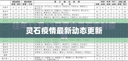灵石疫情最新动态更新