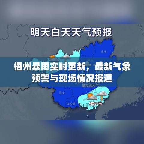 梧州暴雨实时更新，最新气象预警与现场情况报道
