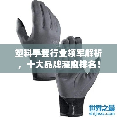 塑料手套行业领军解析，十大品牌深度排名！