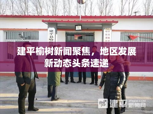 建平榆树新闻聚焦，地区发展新动态头条速递