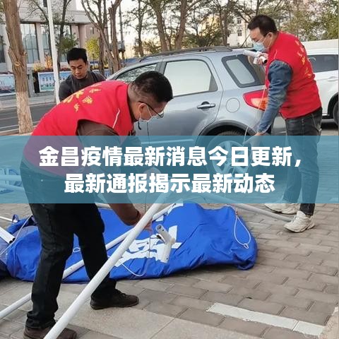 金昌疫情最新消息今日更新，最新通报揭示最新动态