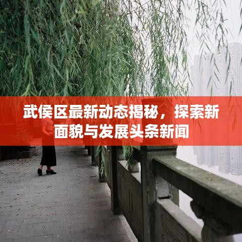 武侯区最新动态揭秘，探索新面貌与发展头条新闻