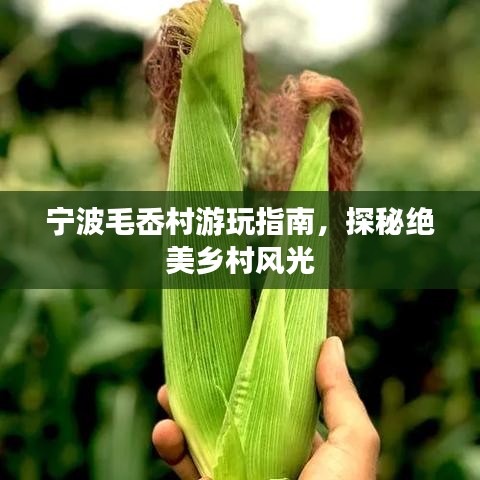 宁波毛岙村游玩指南，探秘绝美乡村风光