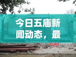 今日五庙新闻动态，最新消息查询汇总