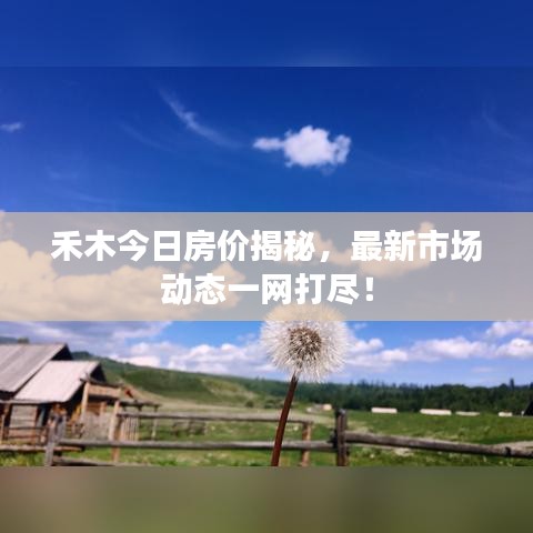 禾木今日房价揭秘，最新市场动态一网打尽！