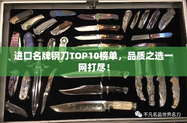 进口名牌钢刀TOP10榜单，品质之选一网打尽！