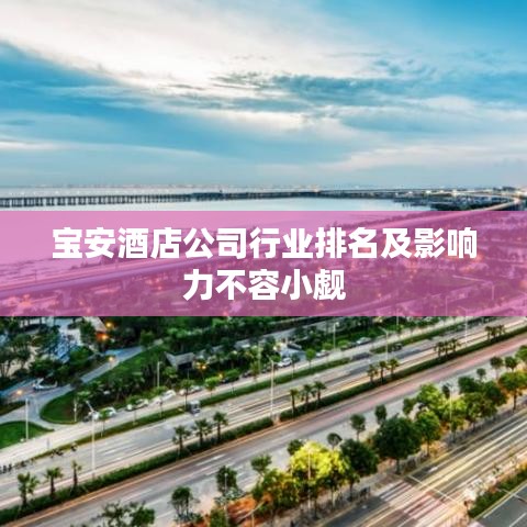 宝安酒店公司行业排名及影响力不容小觑