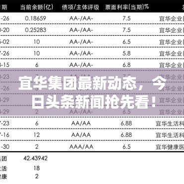 宜华集团最新动态，今日头条新闻抢先看！