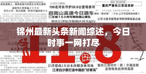 锦州最新头条新闻综述，今日时事一网打尽