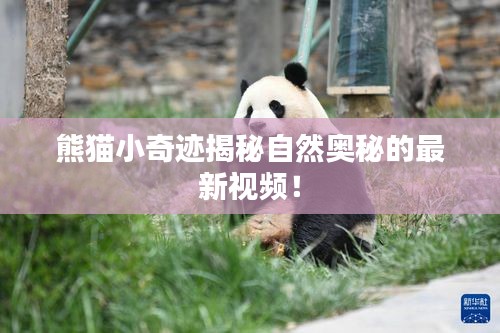 熊猫小奇迹揭秘自然奥秘的最新视频！