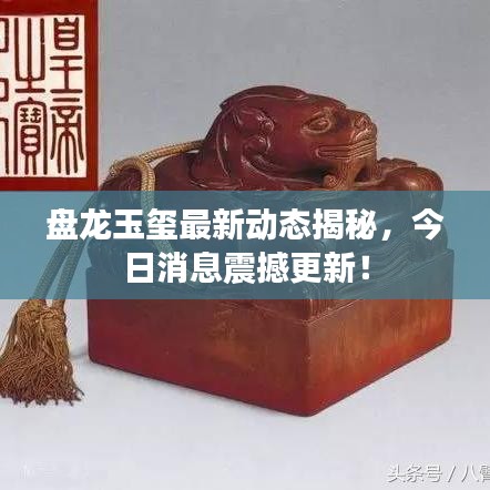 盘龙玉玺最新动态揭秘，今日消息震撼更新！