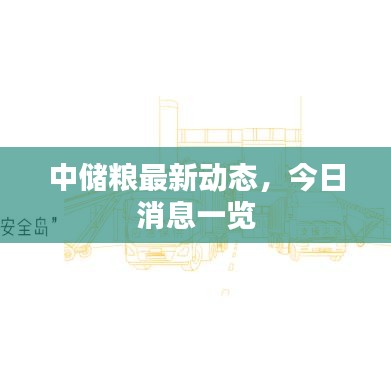 中储粮最新动态，今日消息一览