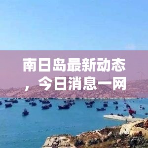 南日岛最新动态，今日消息一网打尽！