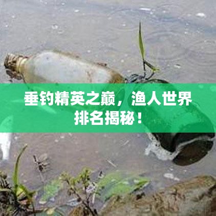 垂钓精英之巅，渔人世界排名揭秘！