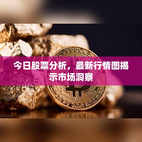 今日股票分析，最新行情图揭示市场洞察