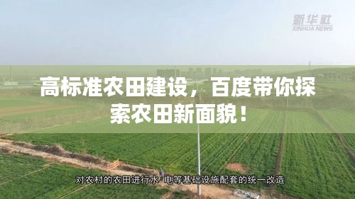 高标准农田建设，百度带你探索农田新面貌！