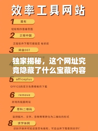 独家揭秘，这个网址究竟隐藏了什么宝藏内容？