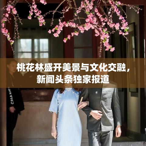 桃花林盛开美景与文化交融，新闻头条独家报道