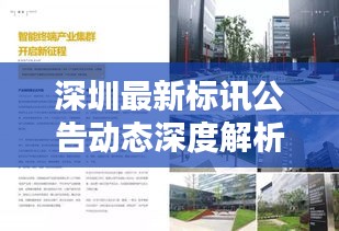 深圳最新标讯公告动态深度解析