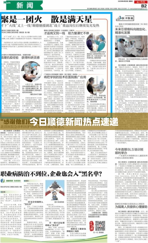 今日顺德新闻热点速递