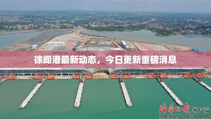 徐闻港最新动态，今日更新重磅消息