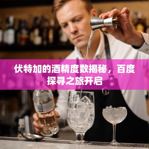 伏特加的酒精度数揭秘，百度探寻之旅开启