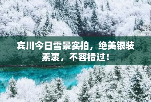 宾川今日雪景实拍，绝美银装素裹，不容错过！