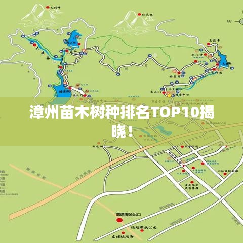 漳州苗木树种排名TOP10揭晓！