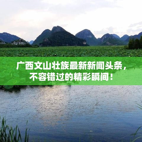 广西文山壮族最新新闻头条，不容错过的精彩瞬间！
