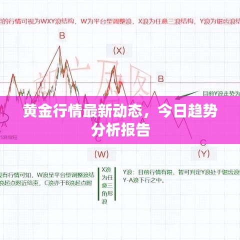 黄金行情最新动态，今日趋势分析报告