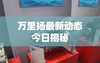 万里扬最新动态今日揭秘