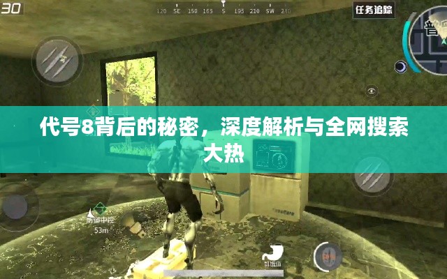 代号8背后的秘密，深度解析与全网搜索大热