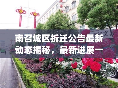 南召城区拆迁公告最新动态揭秘，最新进展一览无余
