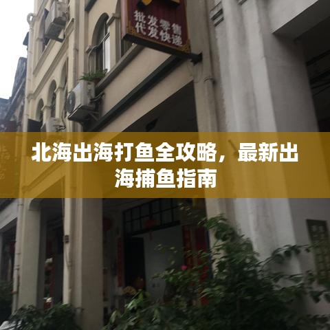北海出海打鱼全攻略，最新出海捕鱼指南