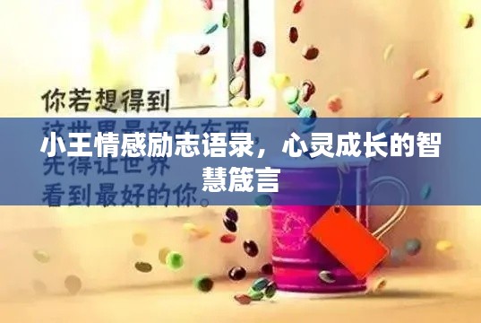 小王情感励志语录，心灵成长的智慧箴言