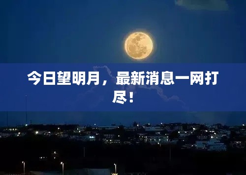 今日望明月，最新消息一网打尽！