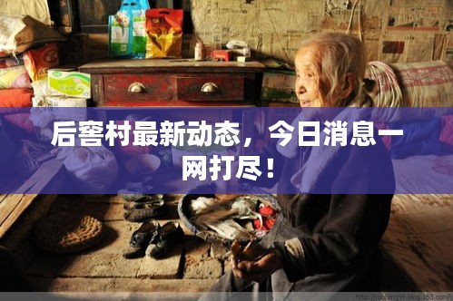 后窖村最新动态，今日消息一网打尽！