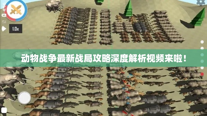 动物战争最新战局攻略深度解析视频来啦！