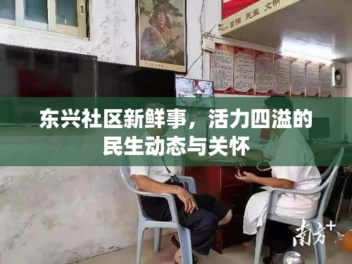 东兴社区新鲜事，活力四溢的民生动态与关怀