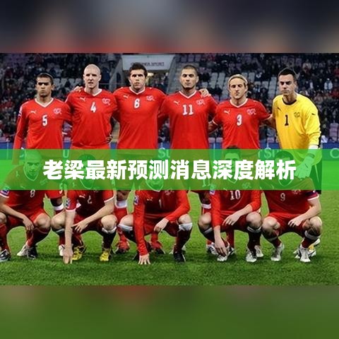 老梁最新预测消息深度解析